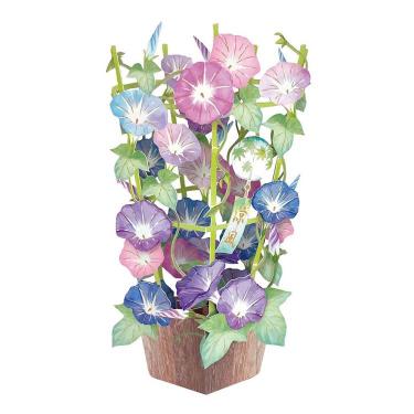 【30％OFF】 夏柄 ポップアップカード ステーショナリー 江戸花火(江戸花火): 花・観葉植物