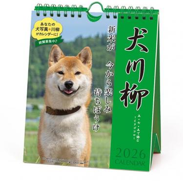 2026年1月始まりカレンダー 卓上 週めくり 犬川柳