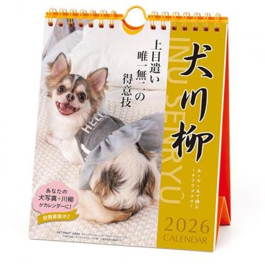 2026年1月始まりカレンダー 卓上 週めくり チワワ川柳