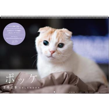 2026年1月始まりカレンダー 壁掛け ポッケ