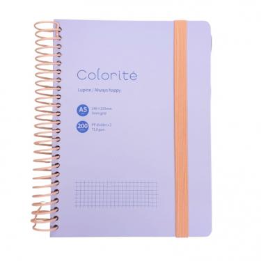カラリテ リングノート ルピナス【ロフト限定】